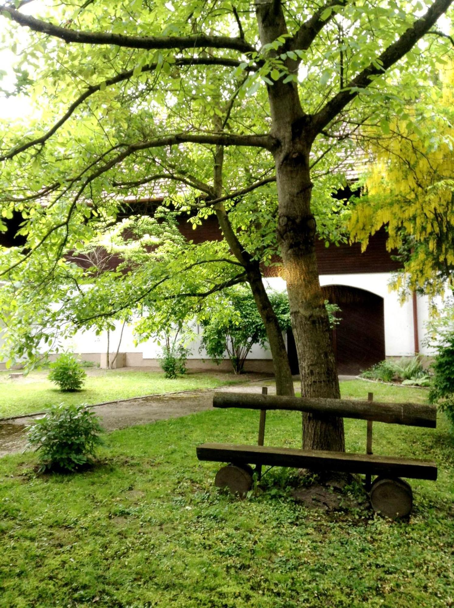 Hotel Gruenes Tuerl 巴特斯哈尔巴赫 外观 照片